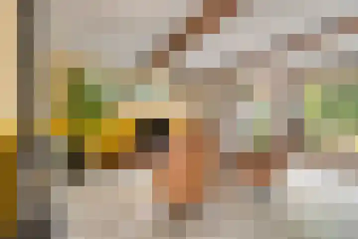 Lage Ham 88 Dongen thumbnail 12