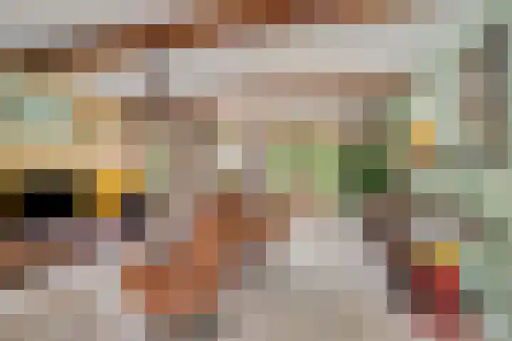 Lage Ham 88 Dongen thumbnail 13
