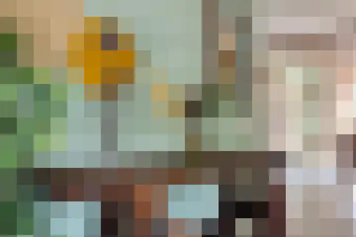 Lage Ham 88 Dongen thumbnail 14