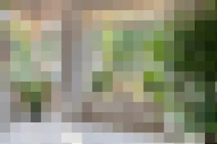 Lage Ham 88 Dongen thumbnail 15