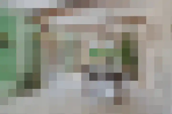 Lage Ham 88 Dongen thumbnail 16