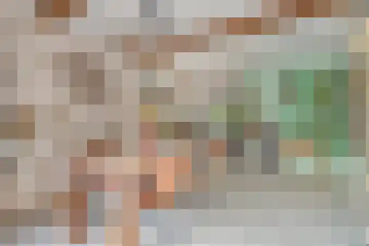 Lage Ham 88 Dongen thumbnail 17