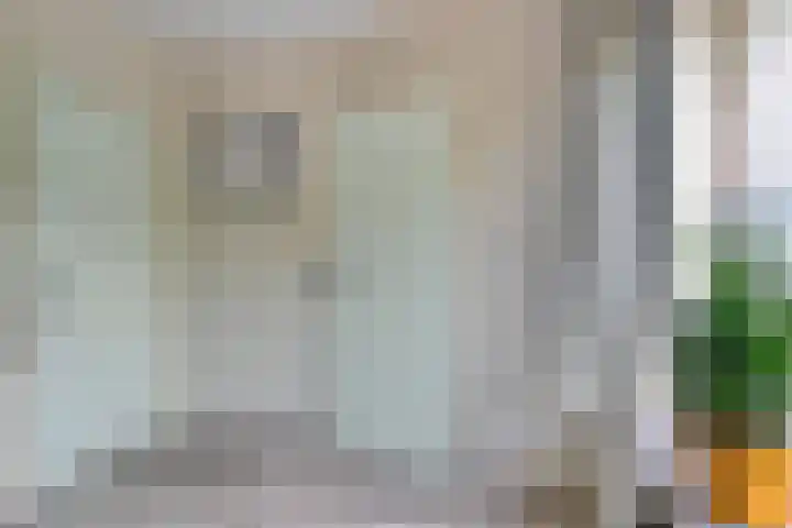 Lage Ham 88 Dongen thumbnail 25