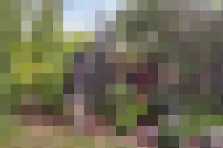 Lage Ham 88 Dongen thumbnail 27