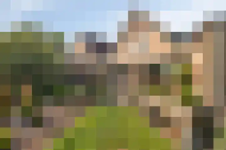 Lage Ham 88 Dongen thumbnail 28
