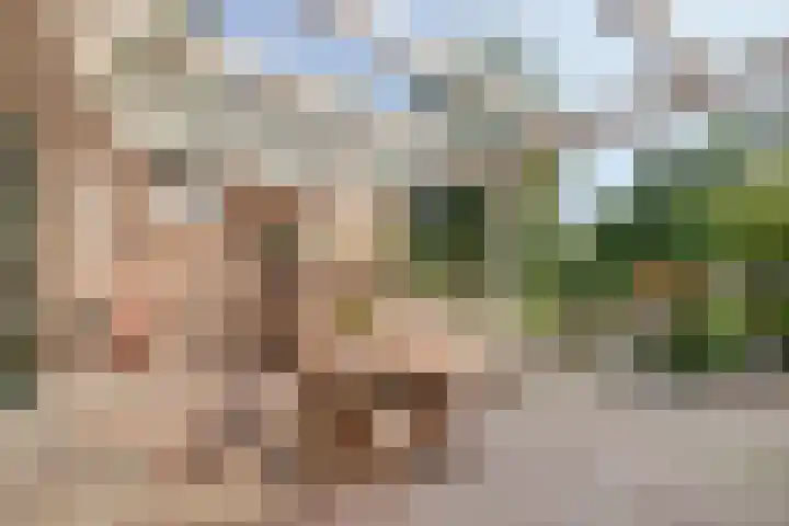 Lage Ham 88 Dongen thumbnail 29