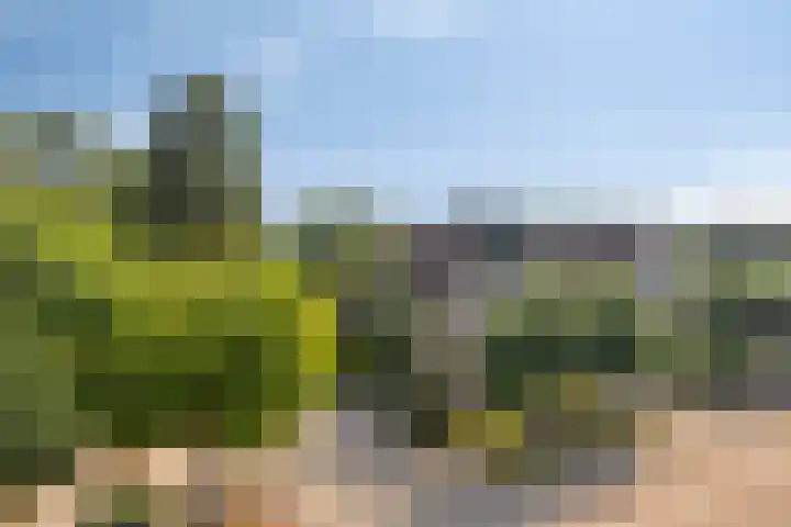 Lage Ham 88 Dongen thumbnail 41