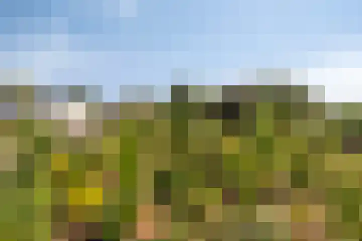 Lage Ham 88 Dongen thumbnail 46