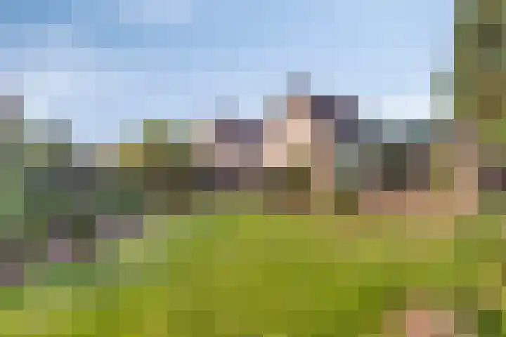 Lage Ham 88 Dongen thumbnail 6