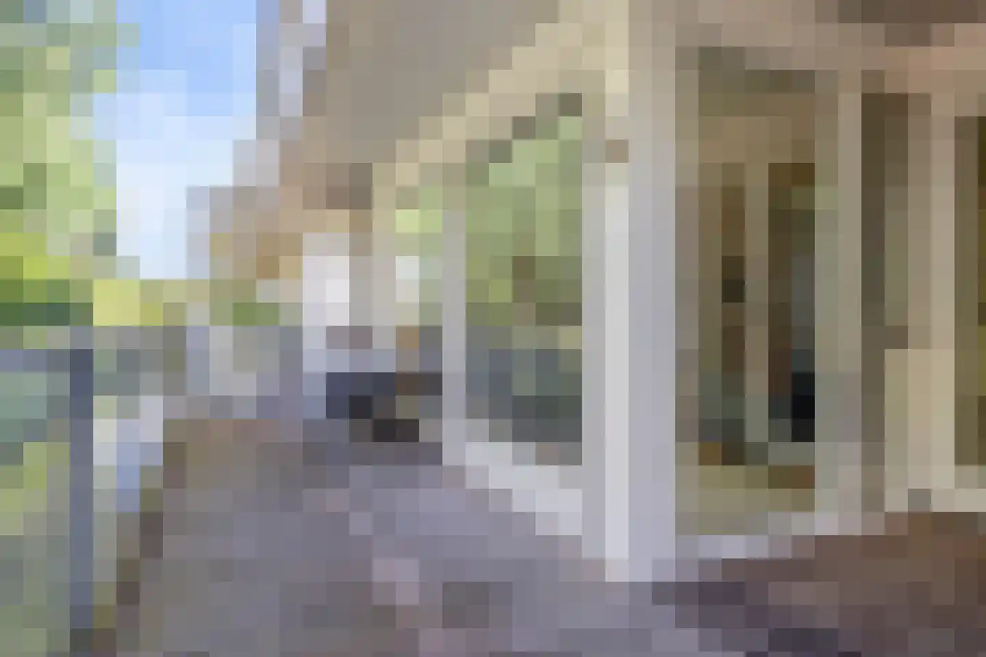 Lage Ham 9 06 Dongen thumbnail 20