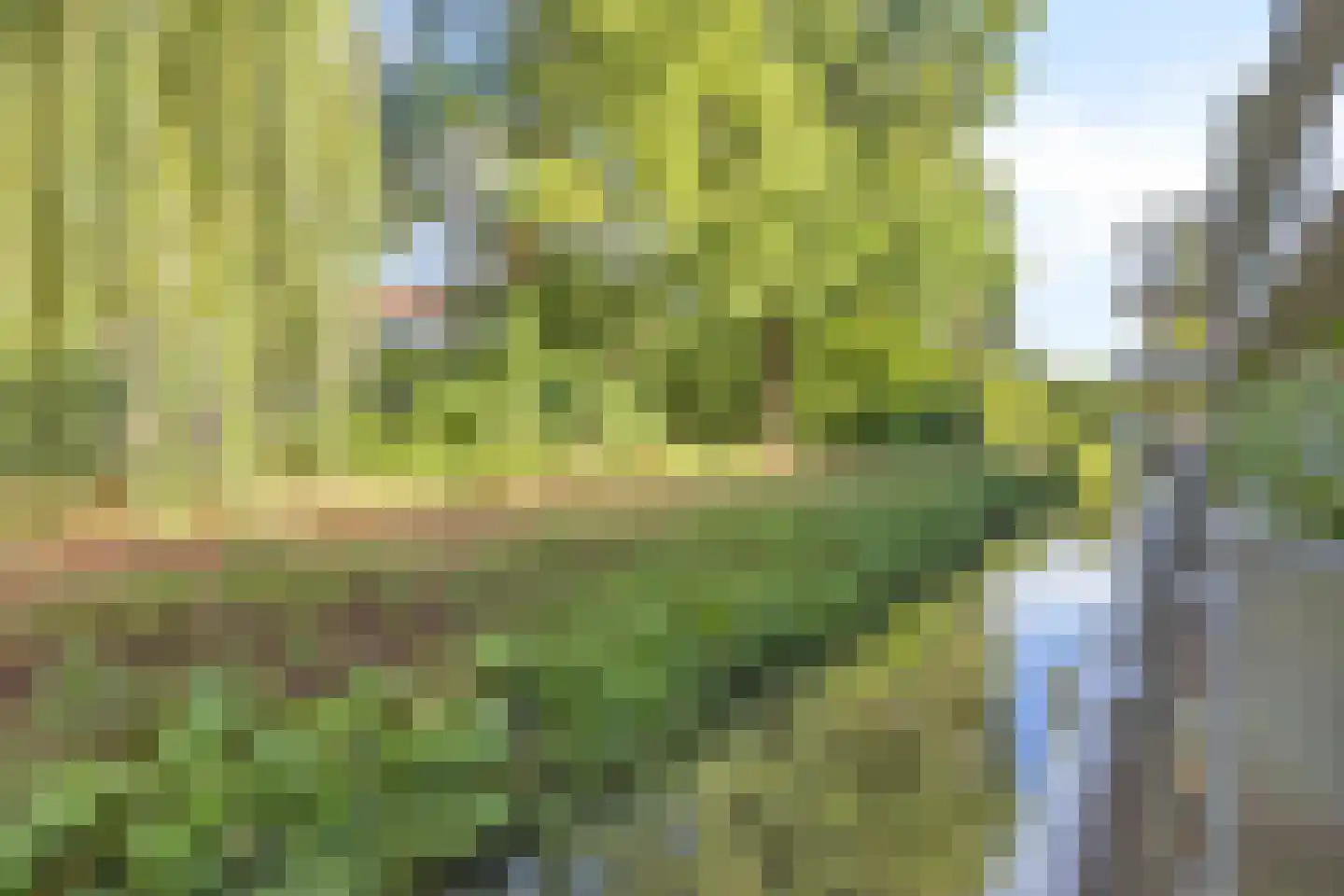 Lage Ham 9 06 Dongen thumbnail 21
