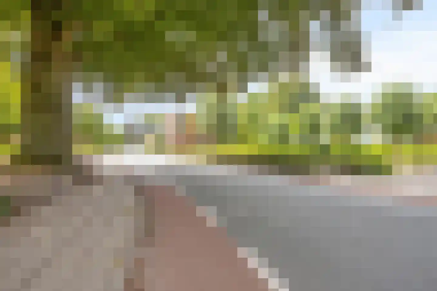 Lage Ham 9 06 Dongen thumbnail 23