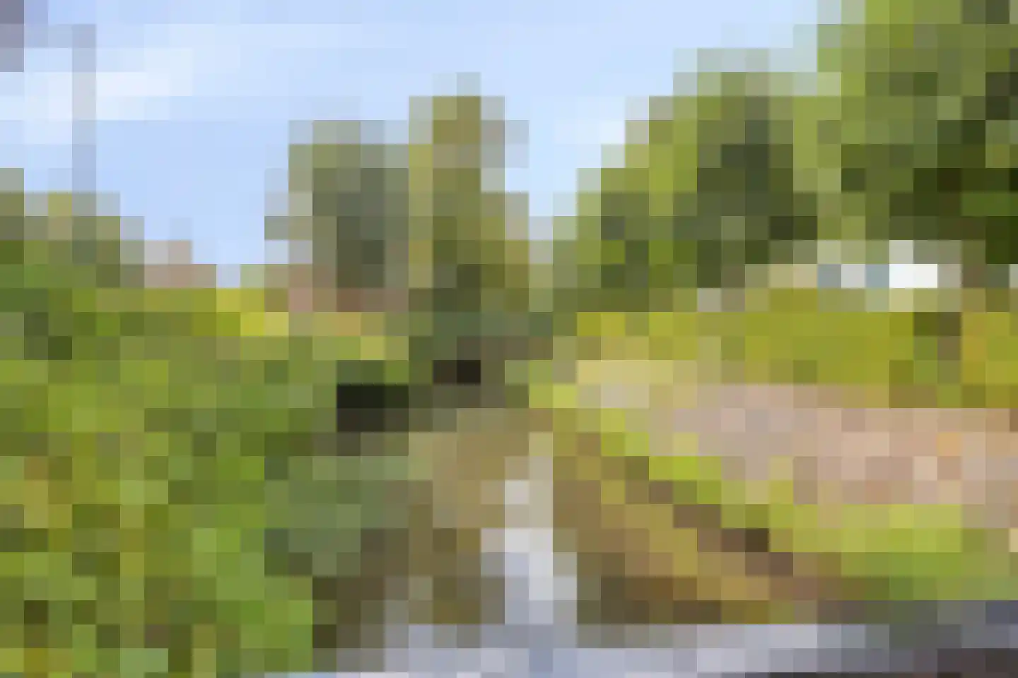 Lage Ham 9 06 Dongen thumbnail 24