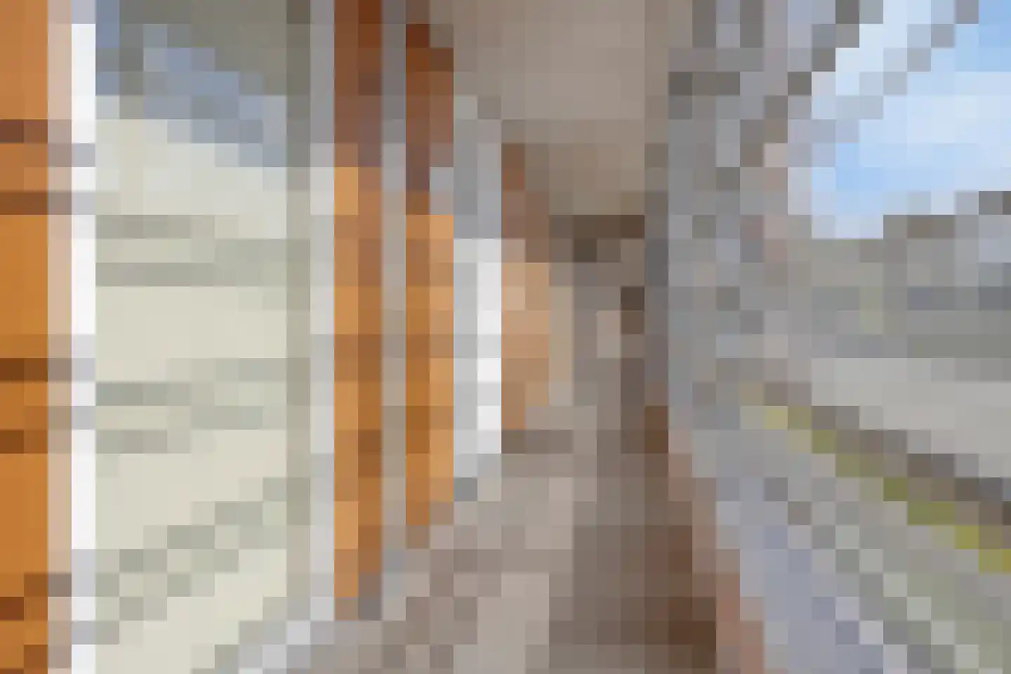 Lage Ham 9 06 Dongen thumbnail 9