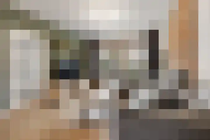 Lage Heijning 13 Teteringen thumbnail 12
