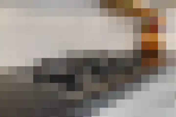 Lage Heijning 13 Teteringen thumbnail 19