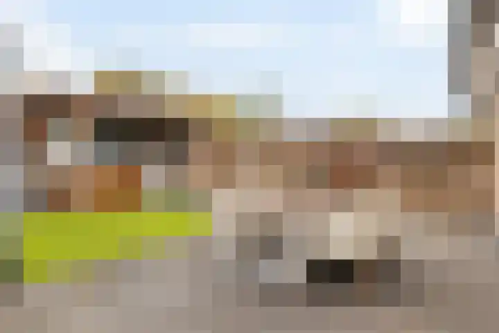 Lage Heijning 13 Teteringen thumbnail 37