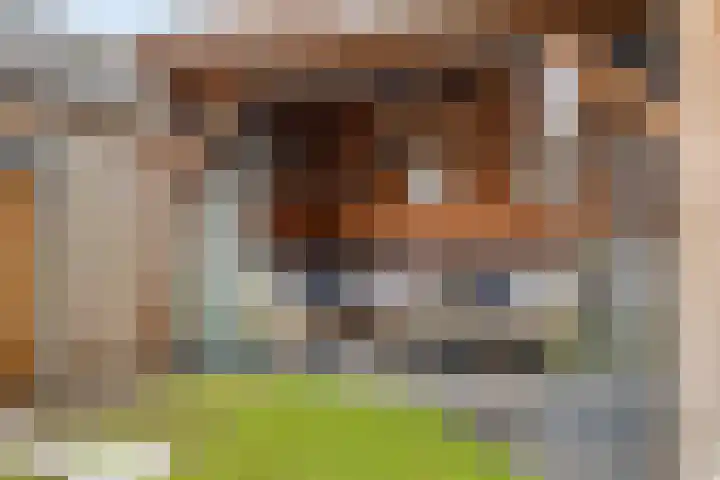 Lage Heijning 13 Teteringen thumbnail 38