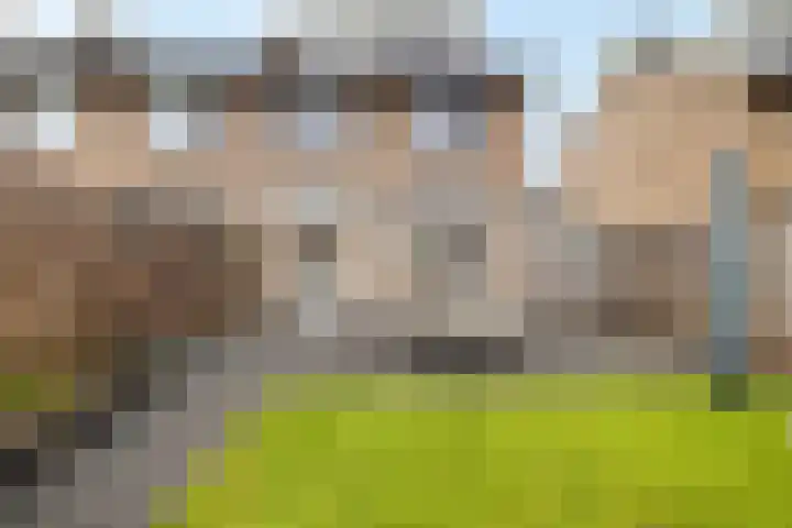 Lage Heijning 13 Teteringen thumbnail 40