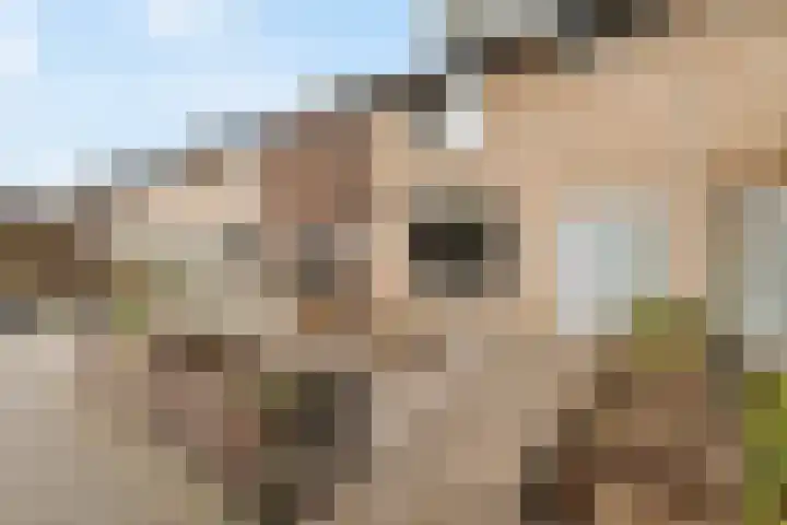 Lage Heijning 13 Teteringen thumbnail 43
