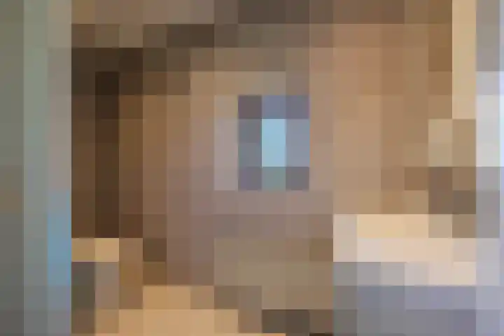 Lage Heiweg 15 Vianen NB thumbnail 15