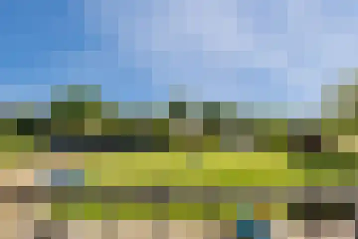 Lage Heiweg 15 Vianen NB thumbnail 17