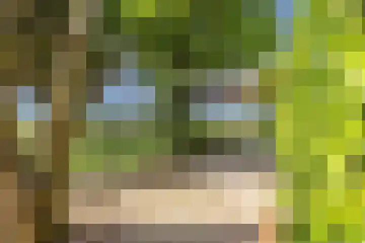 Lage Heiweg 15 Vianen NB thumbnail 20