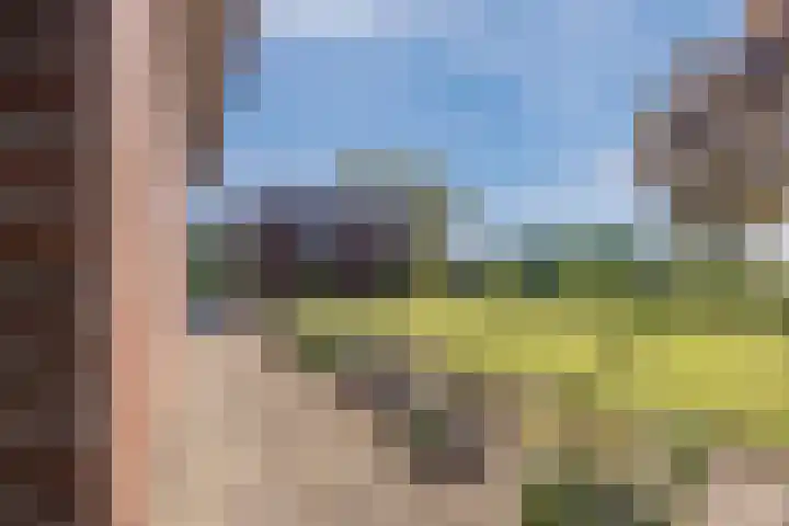 Lage Heiweg 15 Vianen NB thumbnail 21