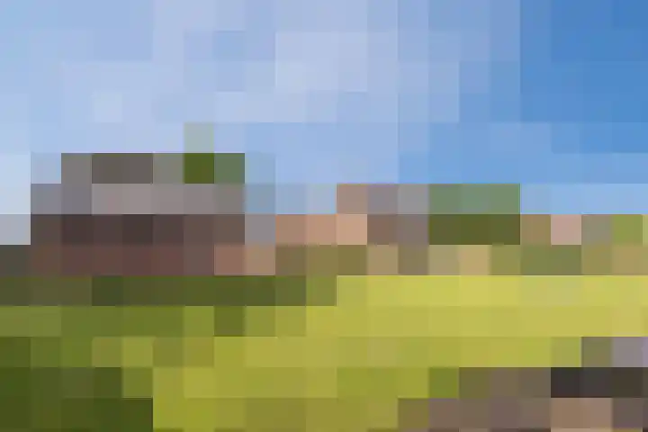 Lage Heiweg 15 Vianen NB thumbnail 24