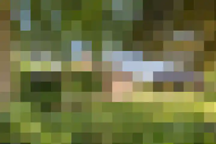 Lage Heiweg 15 Vianen NB thumbnail 25