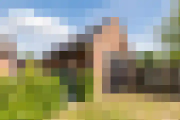 Lage Heiweg 15 Vianen NB thumbnail 26
