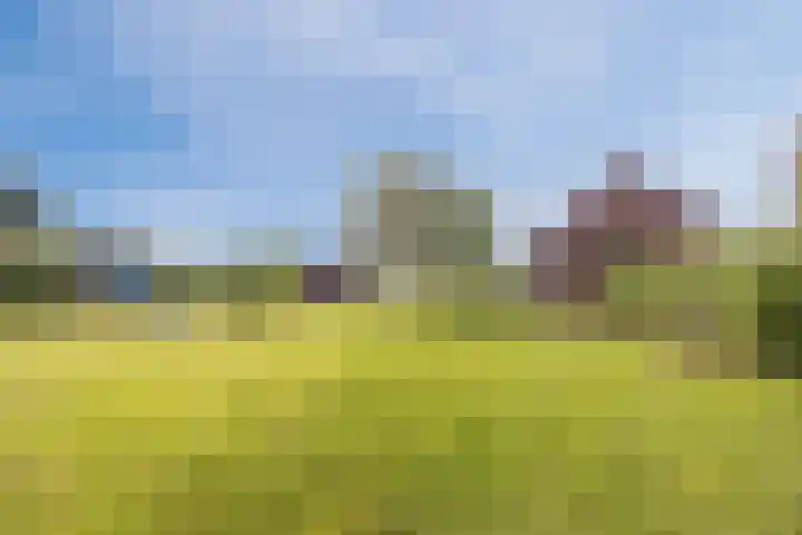 Lage Heiweg 15 Vianen NB thumbnail 27