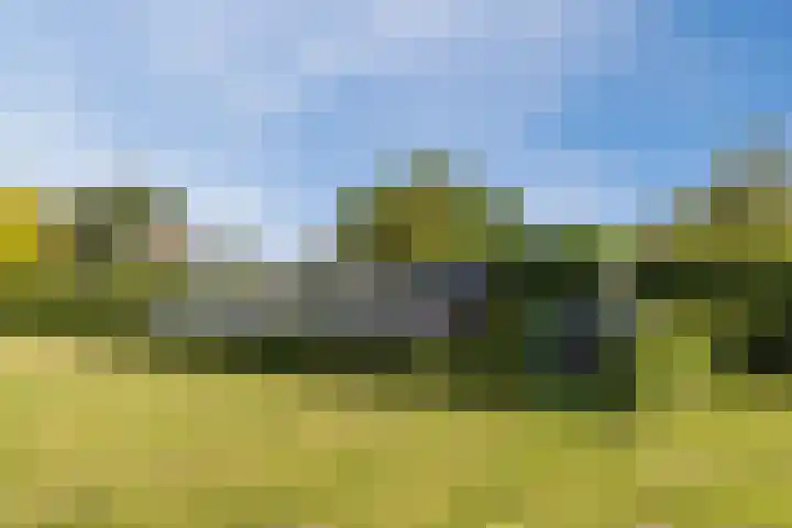 Lage Heiweg 15 Vianen NB thumbnail 28