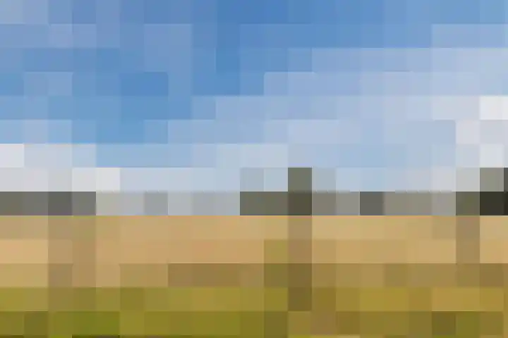 Lage Heiweg 15 Vianen NB thumbnail 29