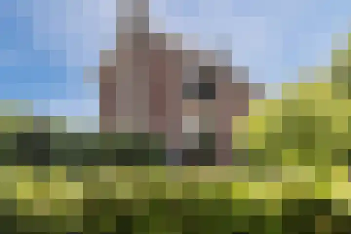 Lage Heiweg 15 Vianen NB thumbnail 32