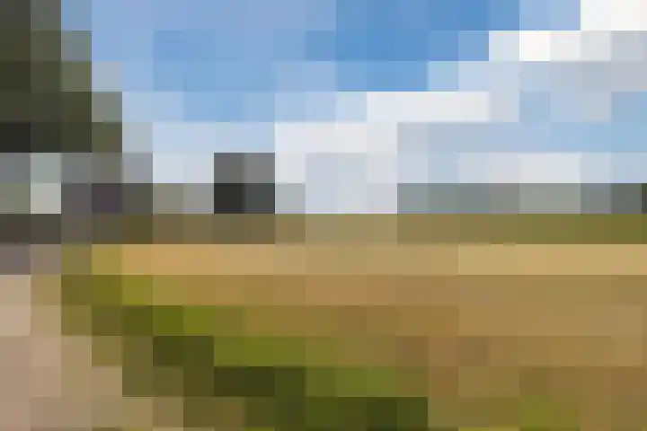 Lage Heiweg 15 Vianen NB thumbnail 33