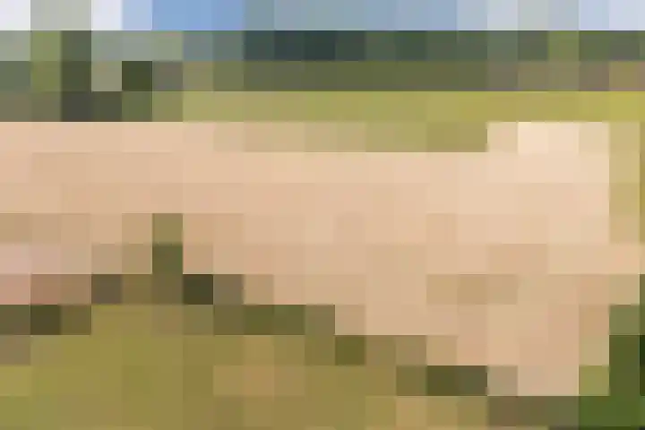 Lage Heiweg 15 Vianen NB thumbnail 35