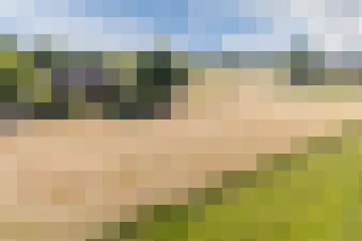 Lage Heiweg 15 Vianen NB thumbnail 36
