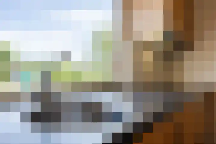 Lage Heiweg 15 Vianen NB thumbnail 6