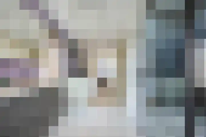 Lage Heiweg 15 Vianen NB thumbnail 7