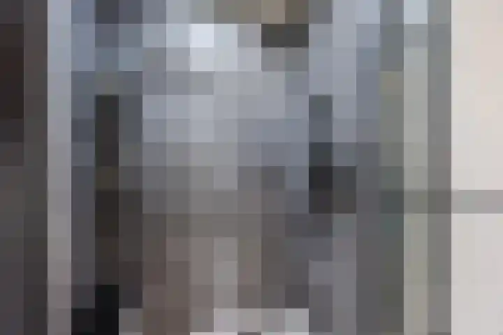 Lage Heiweg 15 Vianen NB thumbnail 8