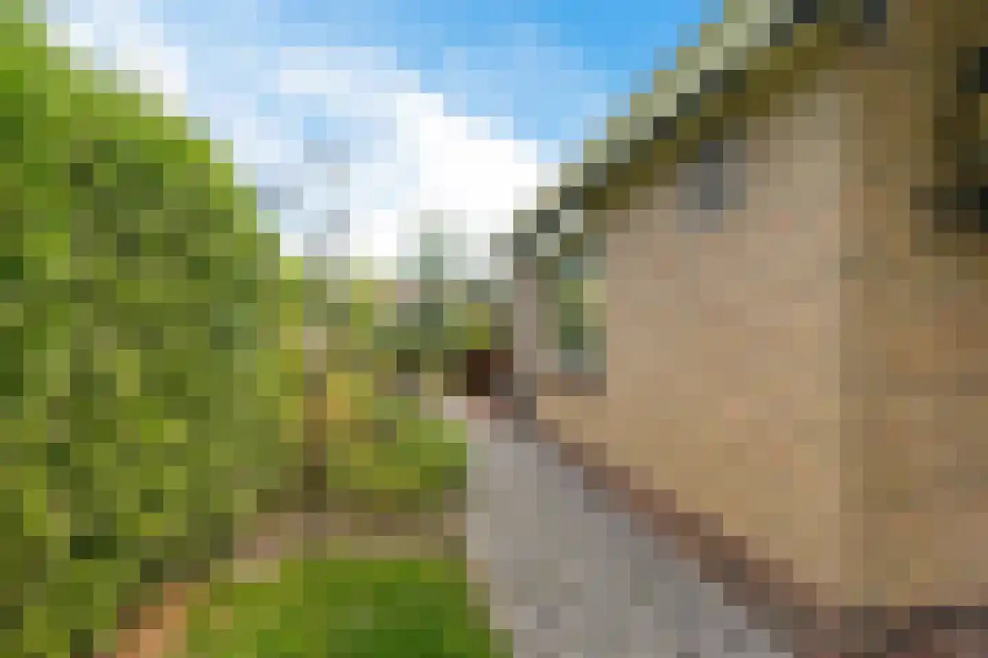 Lage Herenweg 1 B Marrum thumbnail 29