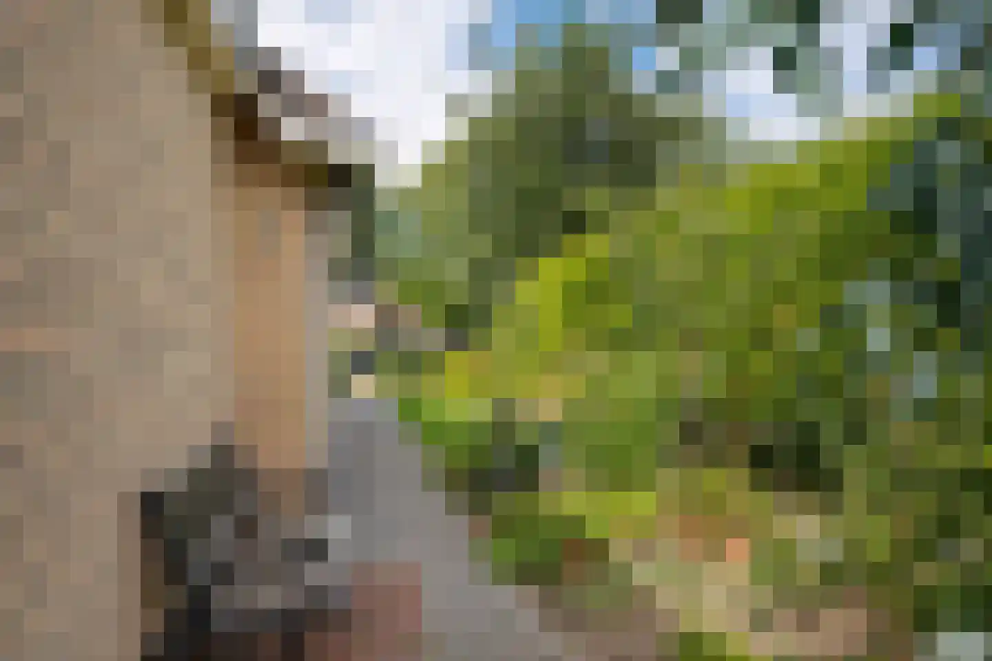 Lage Herenweg 1 B Marrum thumbnail 32