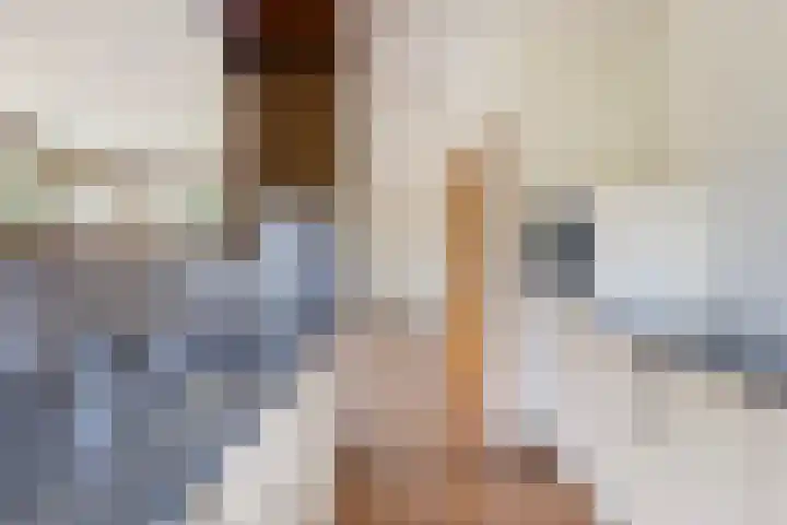 Lage Herenweg 13 Marrum thumbnail 14