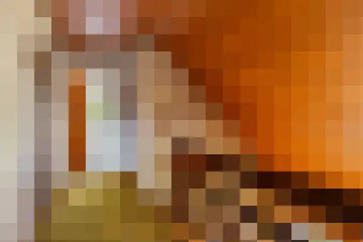 Lage Herenweg 13 Marrum thumbnail 23