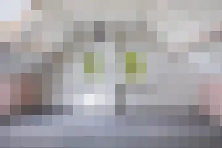Lage Herenweg 13 Marrum thumbnail 24