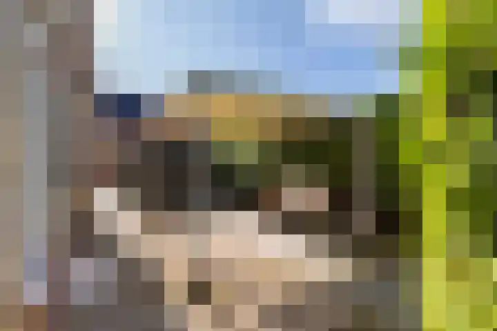 Lage Herenweg 13 Marrum thumbnail 37