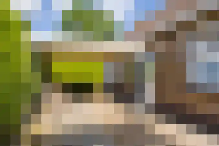 Lage Herenweg 13 Marrum thumbnail 38