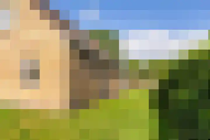 Lage Herenweg 13 Marrum thumbnail 40