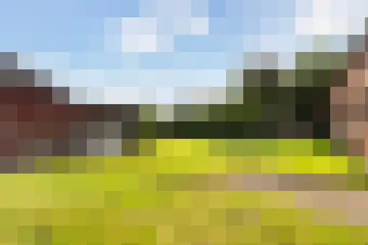 Lage Herenweg 13 Marrum thumbnail 41
